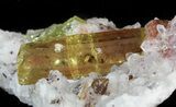 Apatite Crystals In Matrix - Durango, Mexico #43397-2